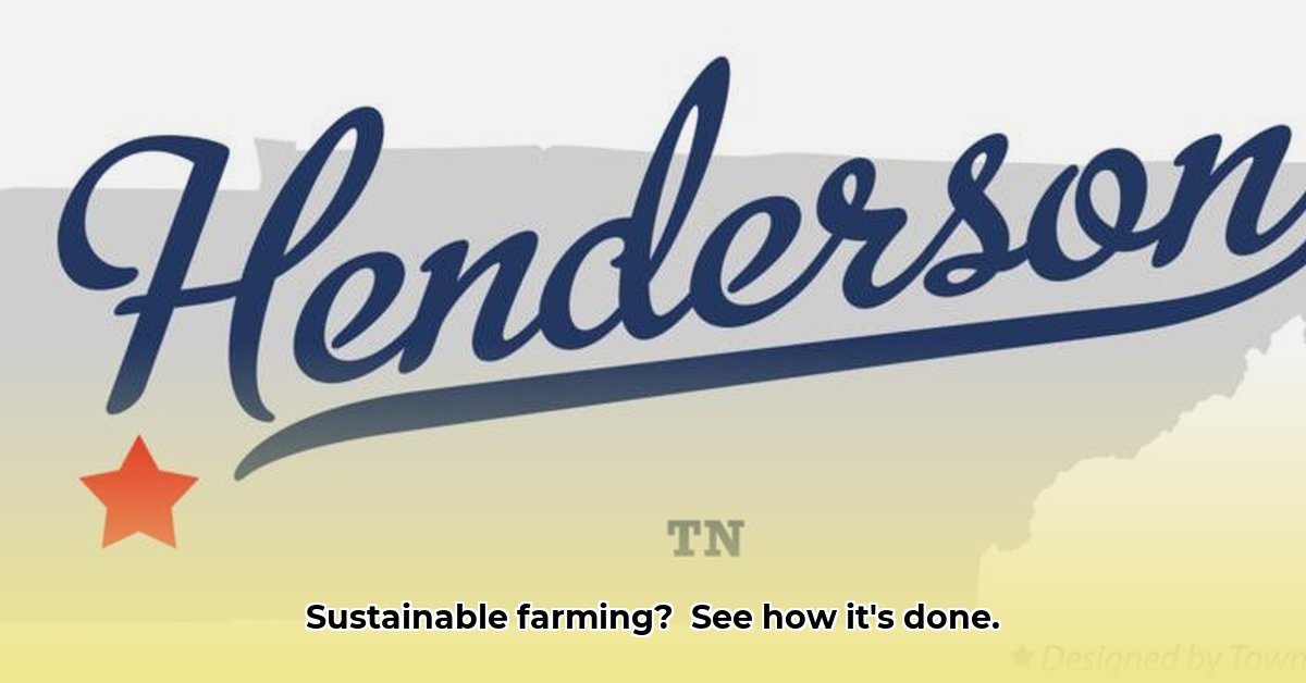 henson-tractor-henderson-tn